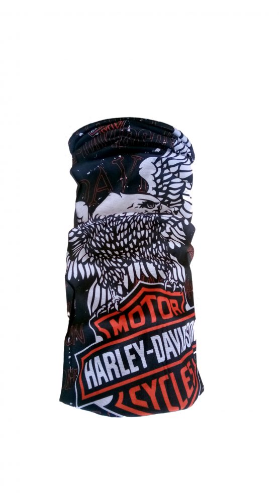 Monk 29 Harley Davidson Motorcycle with Big Eagle 12 in 1 All Weather Headbuff For outdoor Sports & Travelling